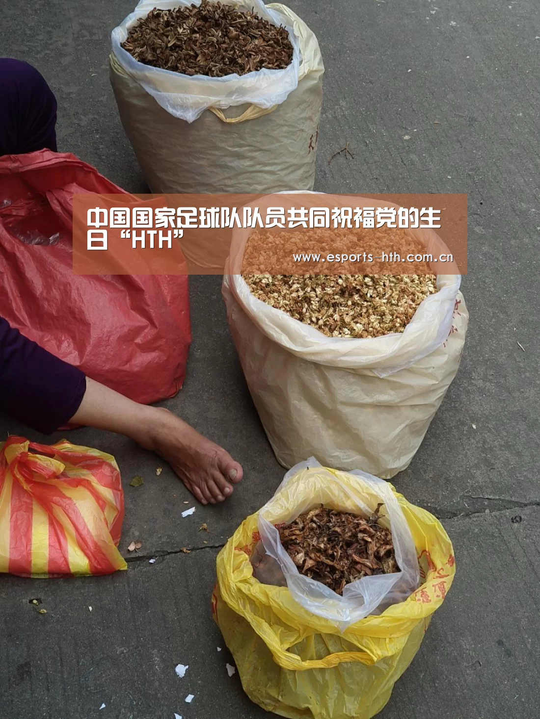 华体会棋牌